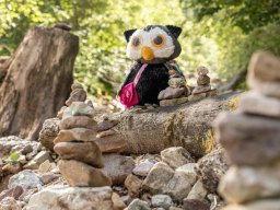 k1600_familiennester_2023-185